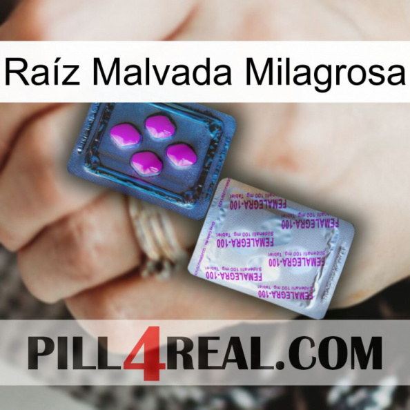 Raíz Malvada Milagrosa 37.jpg